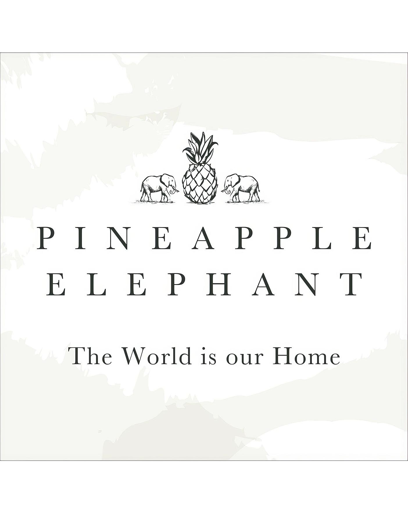 PE Olive Duvet Set J D Williams