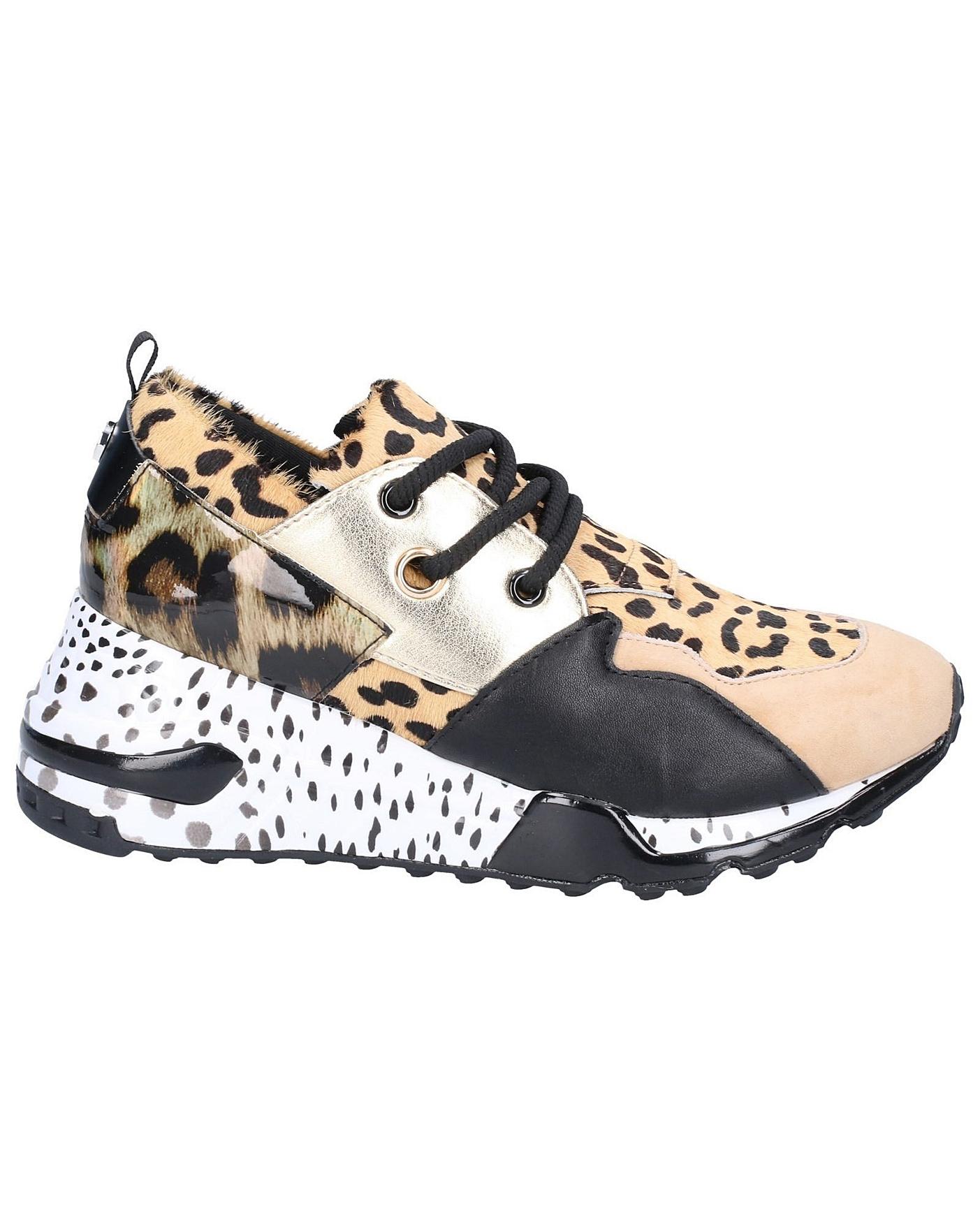 Steve Madden Cliff Lace Up Trainer 