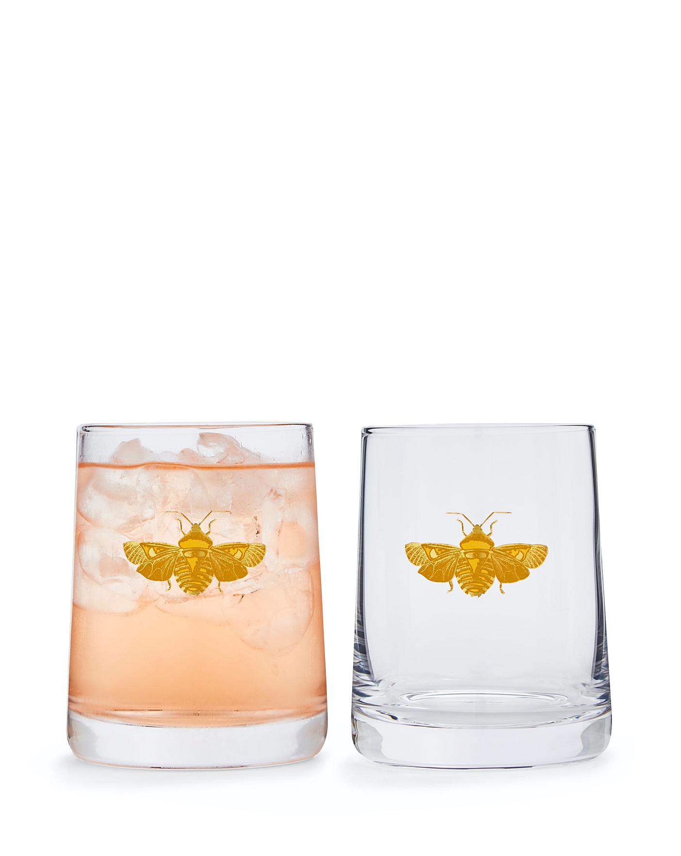 Creatures of Curiosity Highball Glasses Set of 2