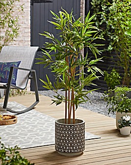 Indoor/Outdoor Bamboo Plant 1.2m