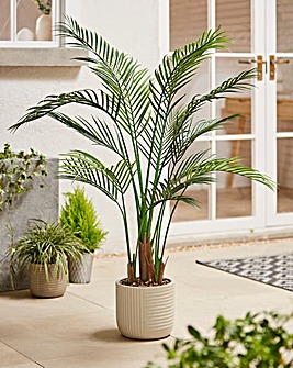 Indoor/Outdoor Palm Tree 1.2m