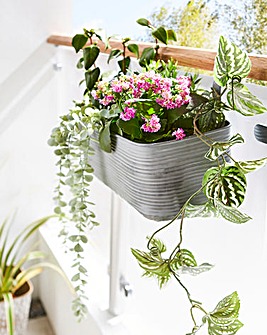 Ivyline Matlock Metal Window Box