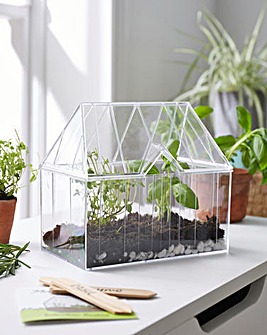 Mini Greenhouse Grow Kit