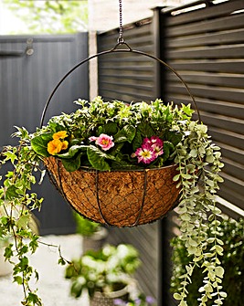 Outdoor Hanging Wired Netted Basket Zinc