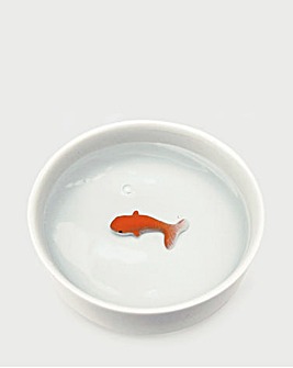 Fish Pet Bowl