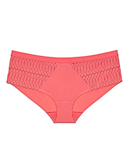 Triumph Aura Spotlight Maxi Briefs