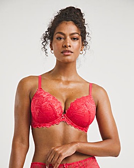 Butterfly Lace Padded Plunge Bra