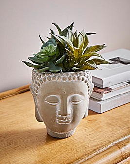 Fiori Mixed Succulent Buddha Pot
