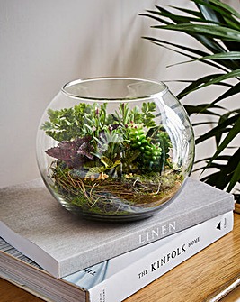 Fiori Mixed Succulent Glass Pot