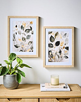 Set of 2 Botanical Framed Print