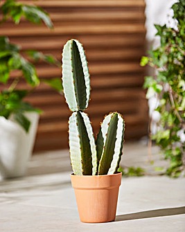 Indoor/Outdoor Artificial Cactus - 50cm