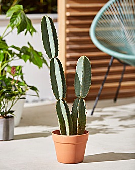Indoor/Outdoor Artificial Cactus - 68cm