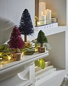 Bristlebrush Christmas Trees - Set of 3