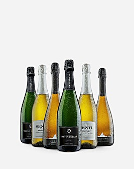 Prosecco and Champagne Bottle Selection