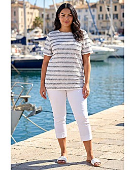 Roman Curve Stripe Frill Lace Top