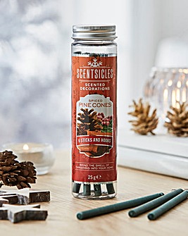 Spiced Pinecones Scenticles