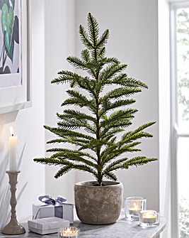Gisela Graham Artificial Potted Spruce