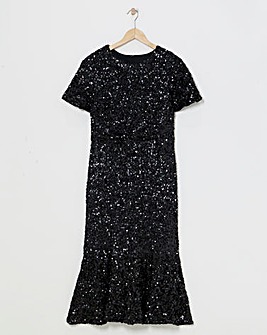 Joanna Hope Sequin Midi Dress