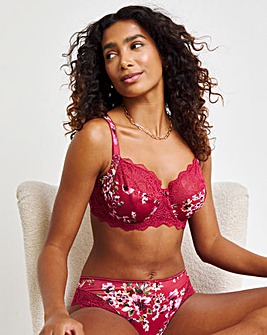 Fantasie Lucia Full Cup Wired Bra Cherry