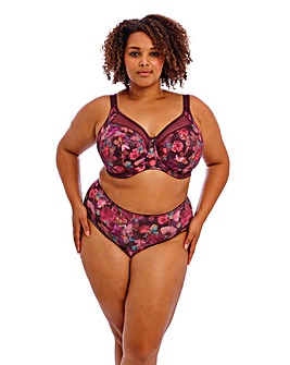 Goddess Kayla Full Fit Knicker Plum Rose