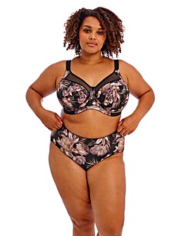 Goddess Kayla Full Fit Knicker Dark Tropical