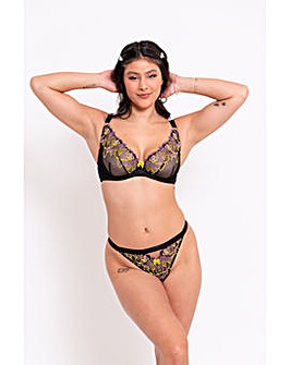 Curvy Kate Stand Out Scooped Plunge Wired Bra