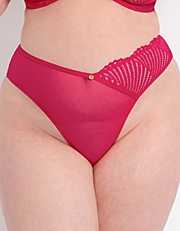 Curvy Kate Scantilly Authority Brief