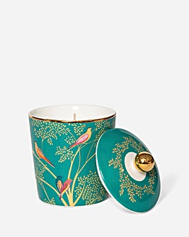 Wax Lyrical: Sara Miller Manadrin Basil & Laburnum Ceramic Candle