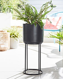Planter on Stand