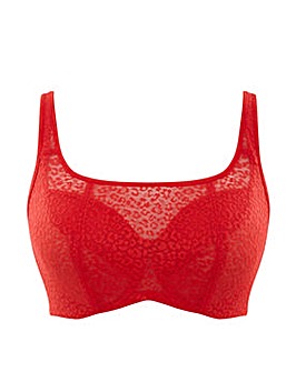 cleo sofia bralette