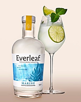 Everleaf Marine Non-Alcoholic Aperitif