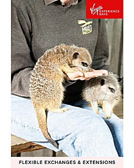 Meet and Feed the Meerkats for Two at Millets Falconry Centre E-Voucher