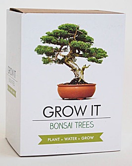Bonsai Tree Grow It Kit