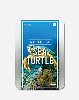 Adopt a Sea Turtle