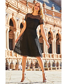 Sosandar Luxe Lace Detail Fit & Flare Dress