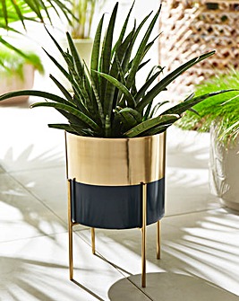 Gold & Teal Dipped Planter