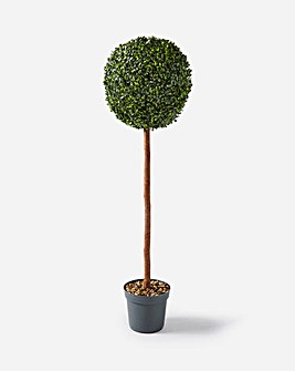 Single Topiary Tree in Pot