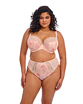 Elomi Lucie High Leg Knicker Cosmos