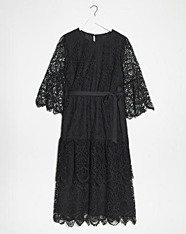Joanna Hope Structured Lace Dress