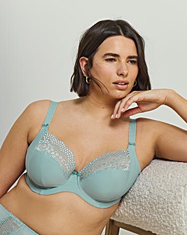 Elomi Lucie Plunge Wired Bra Mist