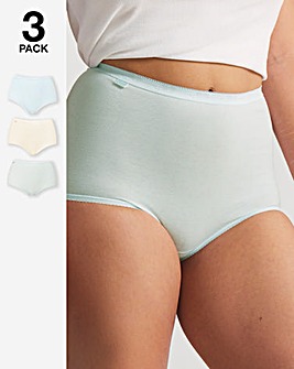 Sloggi (3 Pack) Cotton Basic Maxi Knickers Mint Multi