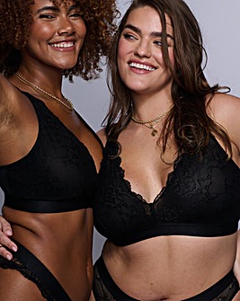 Lemonade Dolls Signature Lace Fuller Cup Bralette Black