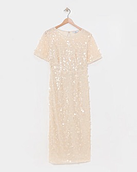 Joanna Hope Sequin Column Dress