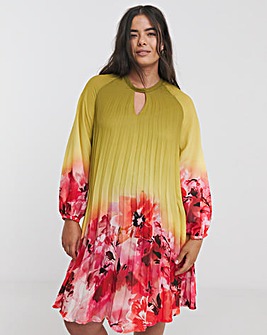 Joanna Hope Ombre Pleated Shift Dress