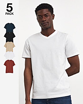 5 Pack Multi V Neck T-shirt