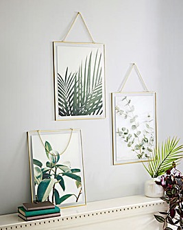 Set of 3 Hanging Glass Natural Prints
