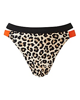 Animal Print Hipster Bikini Brief