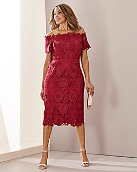 joanna hope sequin stretch lace dress