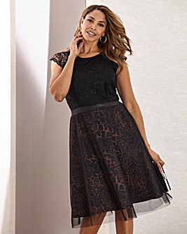 jd williams navy lace dress