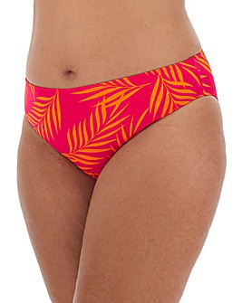 Basic Value Bikini Brief